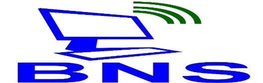 bns.co.mz